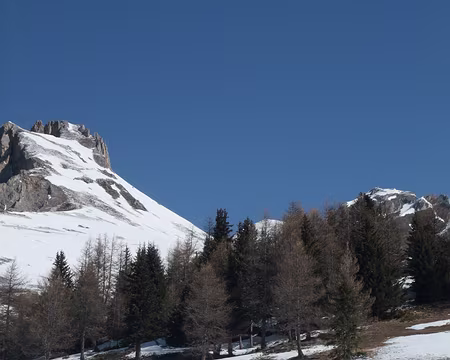 au fond derrière les arbres, l'aiguille Grive