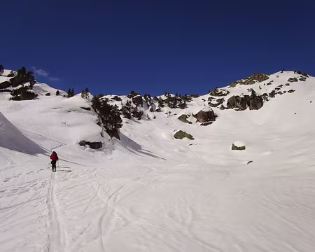 PXL003 Au sortir de la forêt
