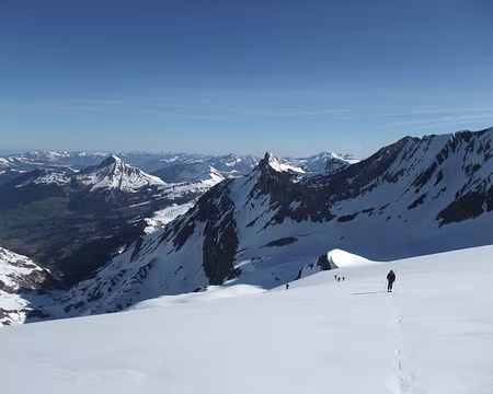 2015_0424Wildstrubel0030