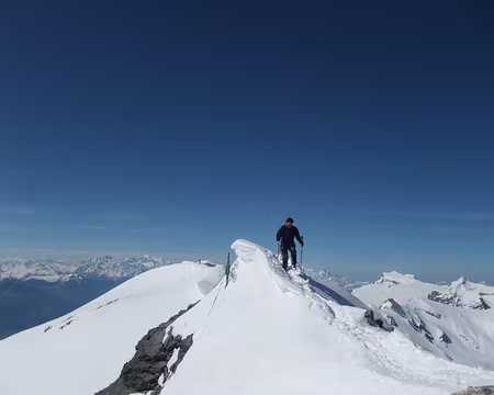 J3 sommet du Wildhorn
