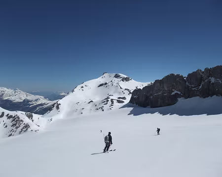 2015_0424Wildstrubel0077