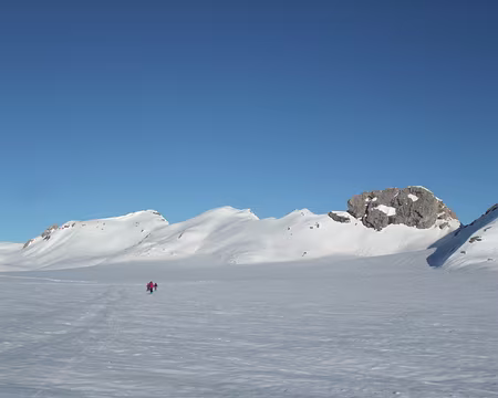 2015_0424Wildstrubel0110 traversée du glacier de Plaine Morte