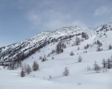 8-31 janvier 2016-Col de Buffère-vue sur la crête de l'Echaillon