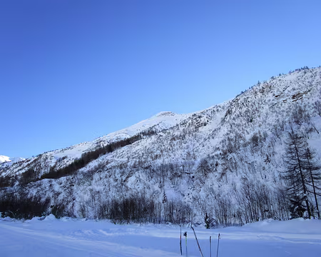 PXL003 Tête de Bernarde