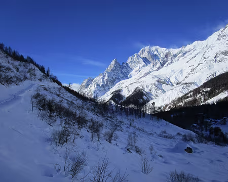 PXL006 Montée versant Nord du Mont de la Saxe