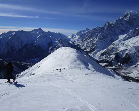 PXL012 Vers Tête Bernarde
