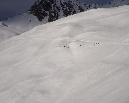 PXL027 Harde de Chamois