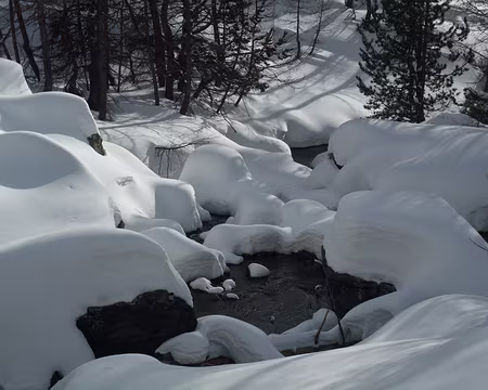004 les sources du Var, vallon de Sanguinière