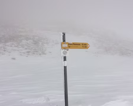 Le groupe s'arrête au col. Les sommets sont soufflés et on n'y voit plus rien. Le groupe s'arrête au col. Les sommets sont soufflés et on n'y voit plus rien.