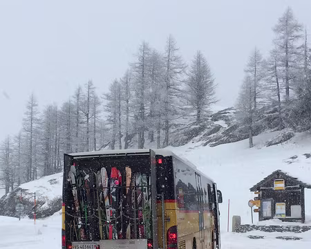 Dimanche, il neige. Certains prefèrent changer de terrain de jeu. Dimanche, il neige. Certains prefèrent changer de terrain de jeu.