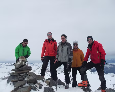 11 au sommet du Goléon