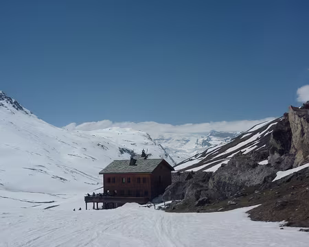 retour au refuge retour au refuge