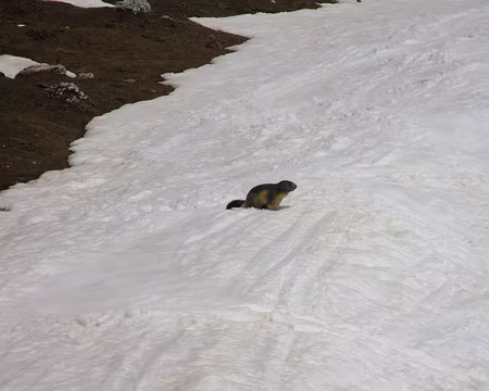 2016 05 06 - S112 - CHATELARD - 042