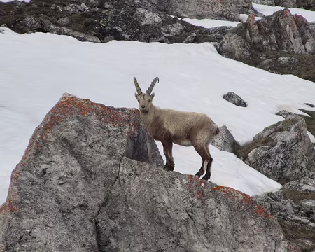 2016 05 06 - S112 - CHATELARD - 043