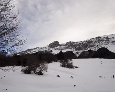IMG_4238 J2 Le Trélod (Bauges) despuis Doucy descente par le couloir Nord et remontée J3 Mont Trélod (2181m, Bauges) depuis Doucy descente par le couloir Nord (+1550m)
