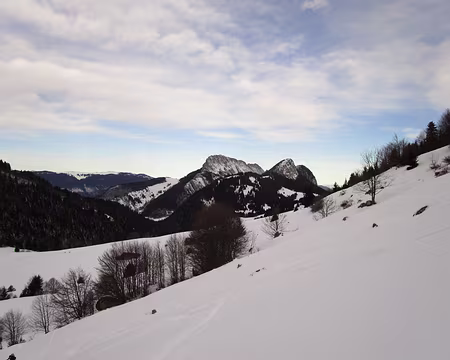 IMG_4241 à gauche Pointe des Boeufs à droite Precheret à gauche Pointe des Boeufs, à droite Precheret