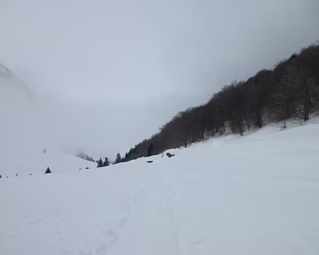 2017 01 28 - 10h49m55s - GLERE