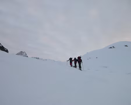 2017 01 30 - 09h22m30s - TRAVERSIER