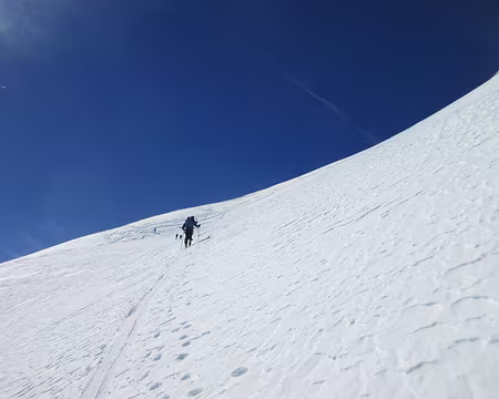 2017 04 23 - 10h29m20 - LBO - SACHE