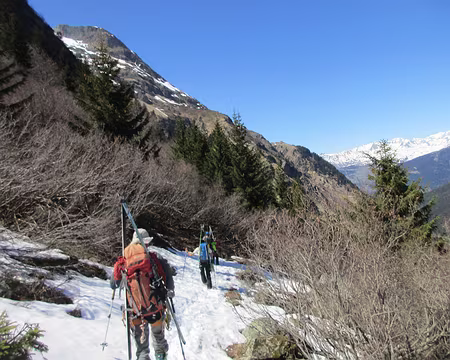 Retour printanier Retour printanier