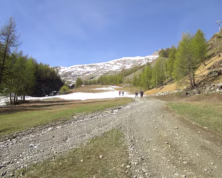 IMG_5069 Remontée piste de ski