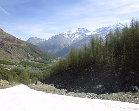 IMG_5070 Weissmies Weissmies