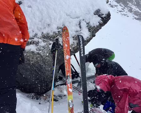 IMG_7055 Dépeautage à l'abri du vent