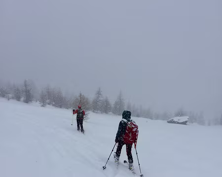 IMG_7056 En récompense, super neige pour la descente