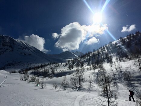 Florence Florence LP, détail sortie