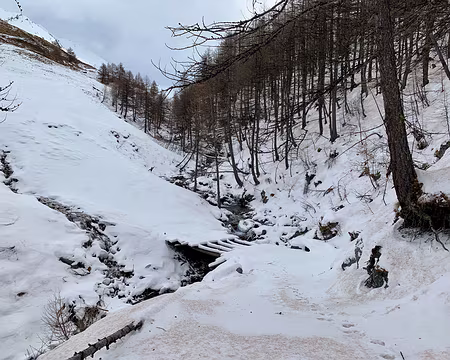 IMG_0356 Balade agréable le long de la rivière...