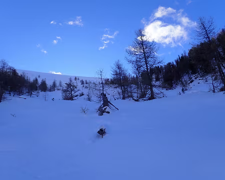 2018 12 08 - 11h12_35_ - PC080138