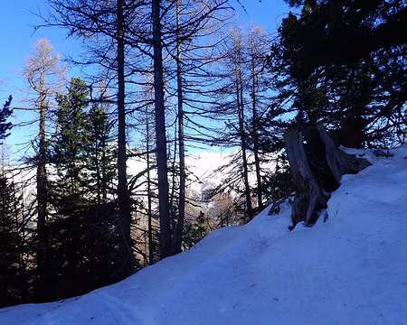 2018 12 08 - 11h27_28_ - PC080140