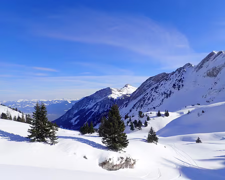 2019 01 19 - 12h27_53_ - LBO - 11