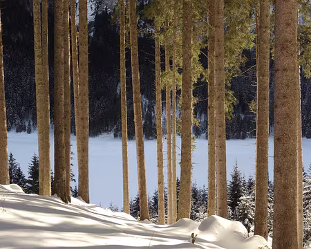 2019 01 19 - 13h17_57_ - ASE - 06