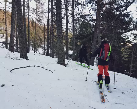 2019 02 17 - 09h23_01_ - GNE