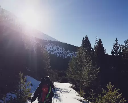 2019 02 17 - 09h47_47_ - GNE