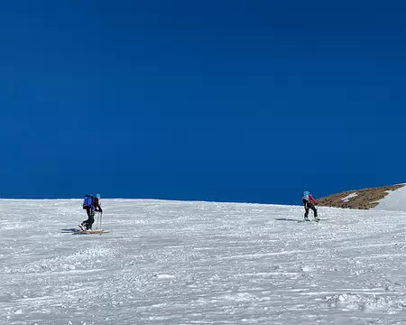 IMG_1445