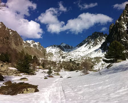 2019 03 17 - 16h21_17_ - TBA004