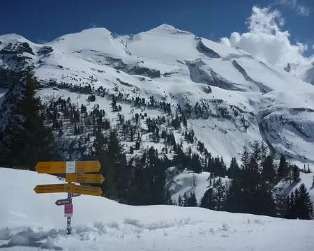 Altels Altels
