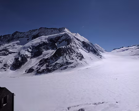 Au fond, Hollandia... Au fond, Hollandia...