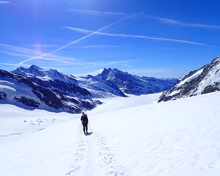 Il est vraiement grand ce glacier Il est vraiement grand ce glacier