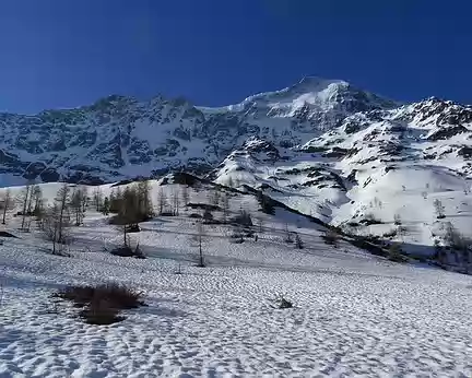 Ski Rando Aletschhorn 4jours (4)
