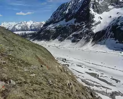 Ski Rando Aletschhorn 4jours (52)