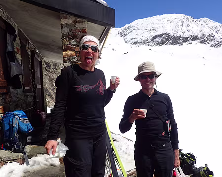 Le Genepi de Diego Le Genepi de Diego