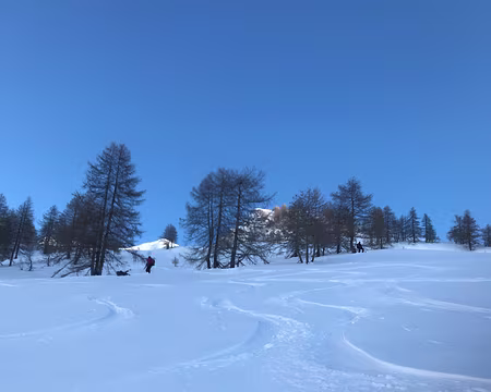 2019 12 07 - 14h09 - FAN - 037