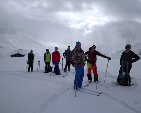 Tout le groupe (Presque) Tout le groupe (Presque)