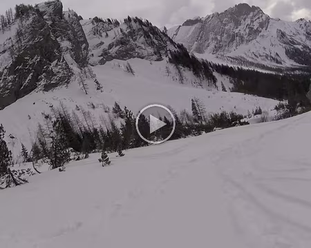 44-GOPR0919 Descente dans la forêt