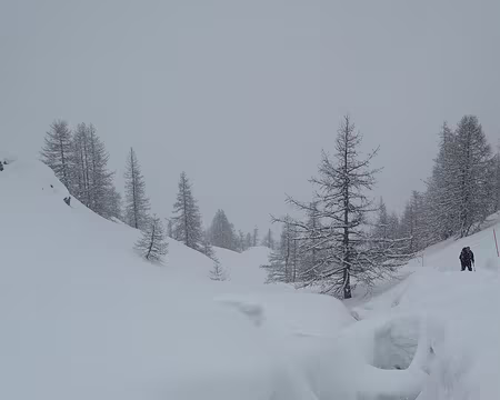 2020 03 05 - 13h19 - S073-035