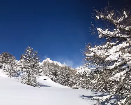 2020 03 06 - 09h17 - S073-069