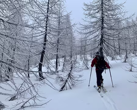 IMG_4828 En direction de Corbernas